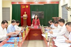 Phó Chủ tịch UBND tỉnh Vương Ngọc Hà làm việc với Đảng ủy xã Tân Trào