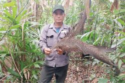 Bảo tồn khu vực đa dạng sinh học trọng điểm