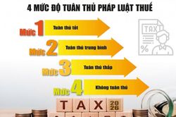 Ưu tiên người nộp thuế tuân thủ quy định