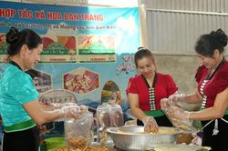 Giảm nghèo bền vững ở Điện Biên: Để vốn chính sách thành sức bật thoát nghèo
