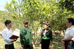 Giảm nghèo bền vững ở Điện Biên: Điểm tựa lưng chừng núi