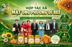 Mật ong Phương Di: Tỏa sáng từ đại ngàn Tây Nguyên