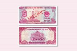 Tiền phát hành năm 1985 - Kỳ I