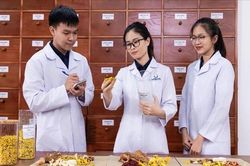 Để y học cổ truyền thành sức mạnh mềm quốc gia