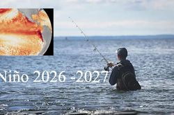 NOAA xác nhận El Ninõ xuất hiện, xác suất trở thành siêu El Ninõ rất cao