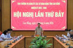 Hội nghị lần thứ 7 Ban Thường vụ Đảng ủy c&aacute;c cơ quan Đảng tỉnh