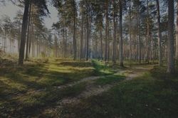 Latvia: Thất thoát ngân sách do quản trị lỏng lẻo