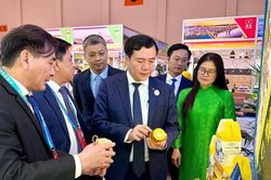 70 doanh nghiệp Việt Nam dự Hội chợ Trung Quốc - Nam Á 2026