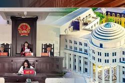 Tòa án nhân dân tối cao công bố 8 án lệ mới
