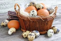 Trứng cút hay trứng gà bổ dưỡng hơn? Câu trả lời khiến nhiều người bất ngờ