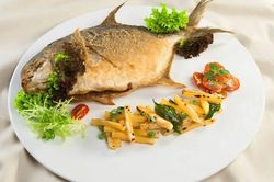 Mùa hè đừng chỉ mua cá chép, cá rô: 4 loại cá được đánh giá cao về dinh dưỡng, vừa ngon vừa dễ ăn