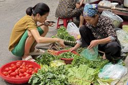 Mua rau chợ chỉ 1 - 2 ngày đã héo, rau siêu thị vẫn tươi xanh: Sự thật phía sau là gì?
