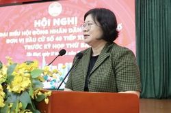 Cử tri kiến nghị nhanh chóng có phương án xử lý các dự án chậm trễ để bảo đảm quyền lợi người dân