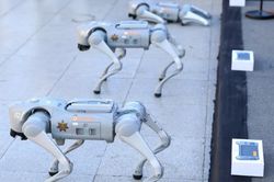 Chó robot được đưa vào nhiệm vụ an ninh tại World Cup 2026