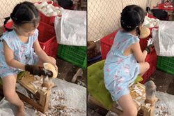 Em bé thoăn thoắt gọt dừa, dân mạng khen 'ai bảo khối nghỉ hè chỉ toàn báo thủ'