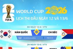 Lịch thi đấu World Cup 2026 ngày 12 và 13-6