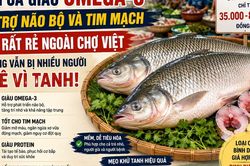 Loại cá giàu omega-3 hỗ trợ não bộ và tim mạch, bán rất rẻ ngoài chợ Việt, nhưng vẫn bị chê vì lý do này