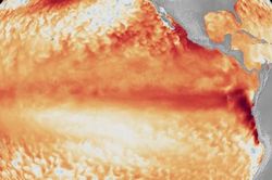 El Nino chính thức xuất hiện và có thể đạt cường độ mạnh nhất lịch sử