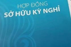 Lừa đảo bằng hợp đồng sở hữu kỳ nghỉ có thể bị xử lý thế nào?