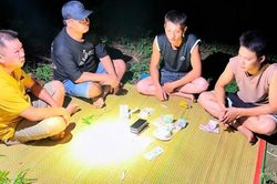 Khởi tố 8 đối tượng đánh bạc trên đồi quế
