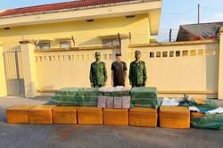 Ngụy trang gần nửa tấn tràng lợn đông lạnh trong bao dứa chuẩn bị 'vượt biên' vào đất liền