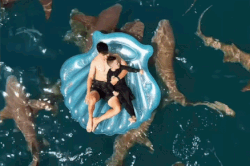 Duy Mạnh đưa vợ, con đi Maldives ngắm cá mập