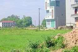 Căn cứ và thẩm quyền cho phép chuyển mục đích sử dụng đất