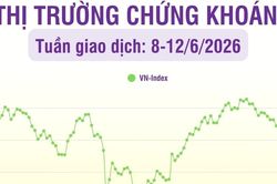 [Infographic] Thị trường chứng khoán tuần 8-12/6: Thị trường có tuần thứ tư liên tiếp giảm điểm, VN-Index về mức 1.791,65 điểm