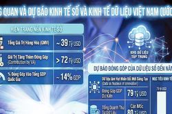 Việt Nam trong cuộc đua kinh tế dữ liệu