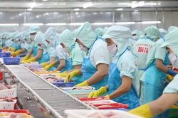 Mở rộng cánh cửa xuất khẩu sang Trung Đông và Nam Á nhờ các FTA thế hệ mới