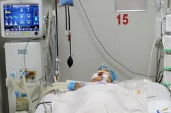Số ca mắc sốt xuất huyết nửa đầu năm nay cao gấp 2,5 lần cùng kỳ năm ngoái