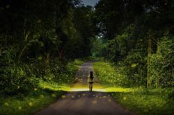 Để đom đóm giữa rừng già sáng mãi…
