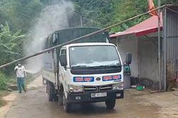 Lý do chợ trâu bò lớn nhất phía Bắc dừng hoạt động