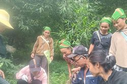 Mang cơm nắm vào bản, cán bộ đưa chính quyền đến tận nhà dân