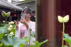'Hoa sen song sinh' hiếm thấy nở trong quán trà, nhiều người tới chiêm ngưỡng