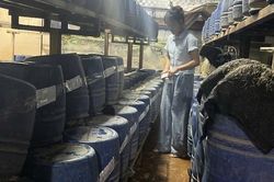 VKSND tỉnh Hưng Yên phối hợp chặt chẽ xử lý hành vi sản xuất giá đỗ chứa chất cấm