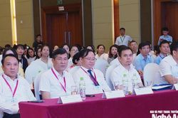 Hội nghị khoa học về điều trị bệnh lý khớp tại miền Trung mở rộng năm 2026
