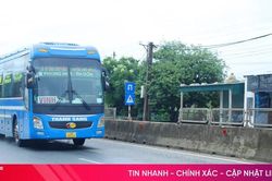 Nguy cơ tai nạn khi lưới chống lóa trên quốc lộ 1 ở Hà Tĩnh bị tháo trộm