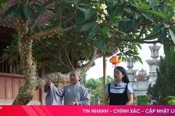 Khám phá ngôi chùa cổ ở thượng nguồn sông Ngàn Sâu