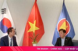 Hà Tĩnh thúc đẩy hợp tác, xúc tiến đầu tư với các tổ chức, doanh nghiệp Hàn Quốc