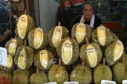 Xuất khẩu tăng mạnh, sầu riêng Thái Lan hướng tới 'năm vàng'