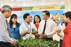 Nhiều doanh nghiệp tìm kiếm cơ hội mới tại Hội chợ hàng Việt Đà Nẵng