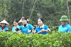 Nghe hội viên nói, nói hội viên hiểu, làm hội viên tin