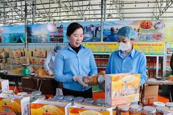 Hỗ trợ phụ nữ phát triển kinh tế gắn với xây dựng sản phẩm OCOP