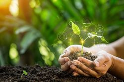 Chuyển đổi xanh của SMEs: Từ áp lực đến hợp lực cùng đối tác