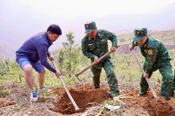 Các địa phương tăng tốc trồng cà phê, mắc ca