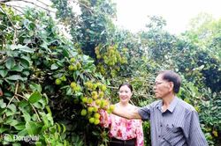 Ðồng Nai kích cầu du lịch