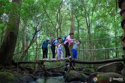 Những tour khám phá rừng độc đáo ở Ðồng Nai