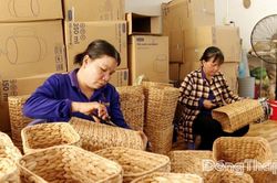 Phường Cao Lãnh: Đẩy mạnh kinh tế tuần hoàn, nâng tầm nông sản