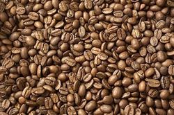 Giá cà phê tăng vọt thêm 2.200 đồng/kg trong ngày 13-6